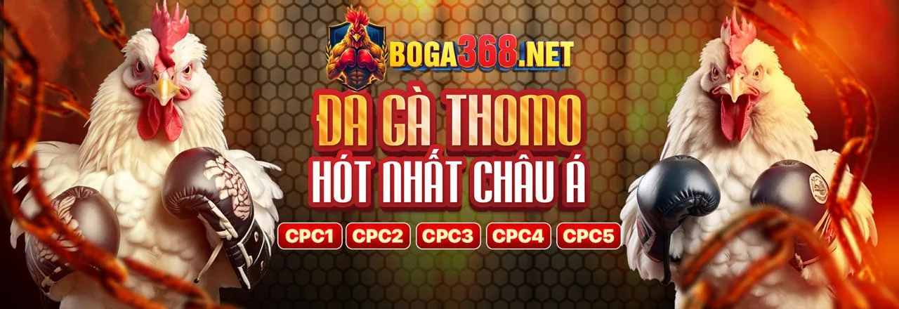 Đừng Bỏ Lỡ Bất Kỳ Tin Tức Nào!