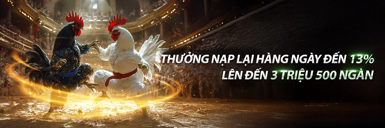Cá cược thể thao code tv88