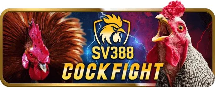 Thưởng chào mừng Code TV88